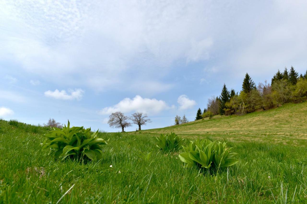 Holiday Home Davca Cerkno Esterno foto